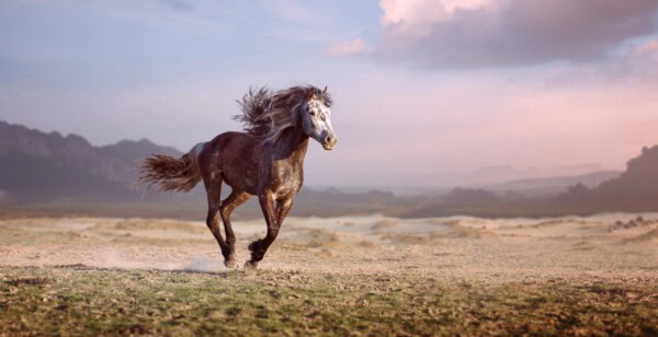 depositphotos 51226917 l e1774631499213