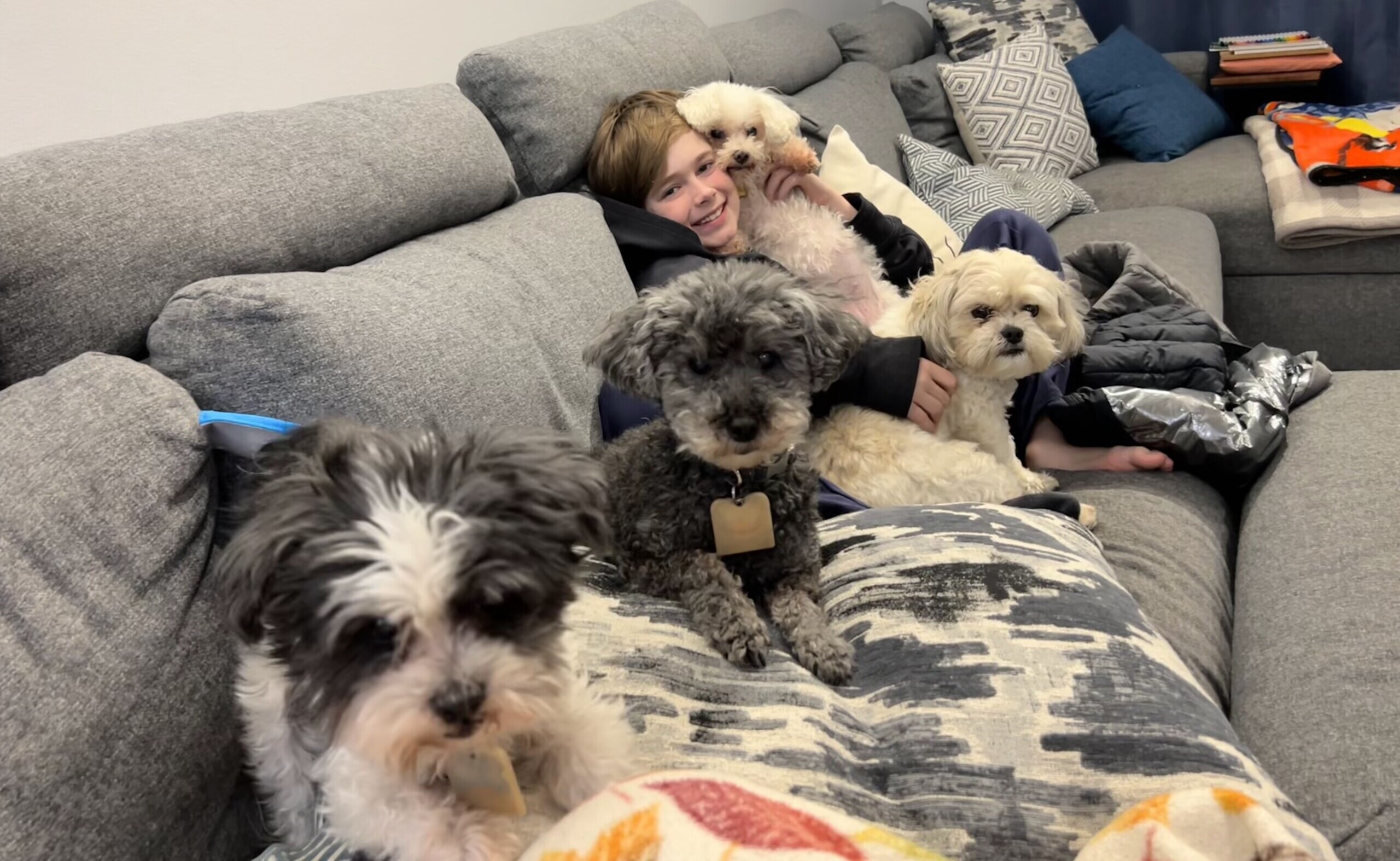Ron Johnson's son and dogs on a sofa